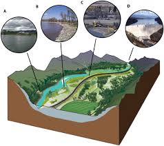 The floodplains are also being updated using hydrologic and hydraulic methods. Gravel Bed River Floodplains Are The Ecological Nexus Of Glaciated Mountain Landscapes Science Advances