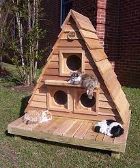 Triplex Katzenhaus Cat House Diy Outside Cat House Cat House Plans