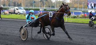 Les stars de nouveau présentes pour la revanche du grand prix d'amérique si va finalement manquer à l'appel propulsion qui a été retiré de la liste des protagonistes, cette deuxième manche de la triple couronne méritera. Prix D Amerique Races Zeturf Qualif 2 Ce Que Nous Apprend Le Passe Grand Prix D Amerique