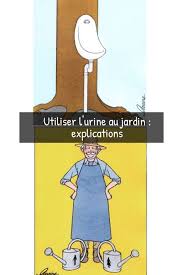 Utiliser L Urine Au Jardin Explications De Renaud De Looze Pepinieriste Et Ingenieur En 2020 Jardins Astuce Jardin Astuce Jardinage