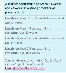 Cervix Length 2 8cms High Risk Babycenter