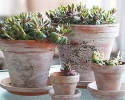 Bunga anyelir berasal dari kawasan. Ide Tampilan Pot Bunga Cantik Untuk Kejutan Istri Tercinta Okezone Lifestyle