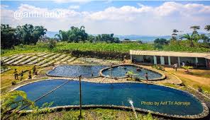 37 Tempat Wisata Di Temanggung Paling Hits 2020 Yang Wajib Dikunjungi