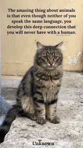 Susan Cheadle (birdlady181693)