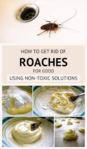 Based on the reviews of most users, this ortho home defense insecticide actually works for killing bugs, roaches, and other pests. How To Get Rid Of Roaches For Good Using Non Toxic Solutions 101cleaningsolutions Com Roaches Roach Remedies Pest Control Roaches