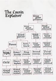 Cousin Explainer Family Tree Research Family Tree Genealogy Family Tree Project