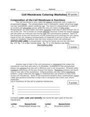 Author janice friedmanposted on april 8, 2019categories cells, resources. Cell Membrane Coloring Worksheet 2011 Name Date Period 40 Cell Membrane Coloring Worksheet Points Composition Of The Cell Membrane Functions The Cell Course Hero
