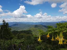 Kemuncak tertinggi di banjaran ini ialah gunung korbu. Banjaran Titiwangsa Di Malaysia