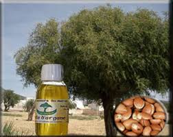 مول زنقة الستات 2011