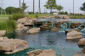 Maybe you would like to learn more about one of these? Moss Boulders Alamo Stone
