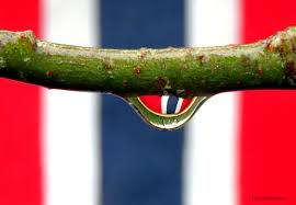 Det er 228 dager igjen av året. Dvergpinschereimitthjerte Blogg No 17 Mai Draper Naturbilder