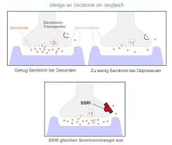 In den letzten monaten wurden sie wieder intensiver. Matthias Voss Astronomie Depressionen Segeln Entstehung Und Entwicklung Des Lebens