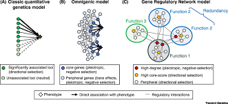We like to create memorable. What Is Gene Inheritance In Terms Of Polygenic Traits
