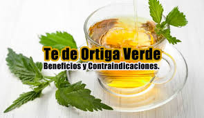 Resultado de imagen para imagen ortiga