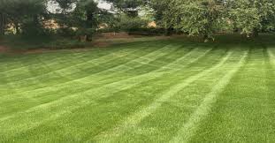 For working and retired tulsans alike, using a lawn care service to mow, control weeds and eliminate pests can save time and energy. Lawn Mowing Gardening Service In Lancaster Pa 1 Local Landscaper