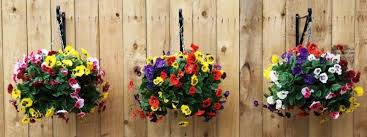 Hanging baskets for full sun and heat. Top 10 Flowering Plants For Hanging Baskets Greenmylife