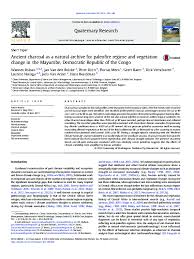 Image result for Ancylobothrys pyriformis