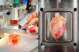 3d Printed Heart Stem Cells Malfunctioning Organs Technology Transplant Stem Cells 3d Printed Heart Stem