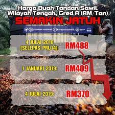 Cangkang sawit merupakan bagian keras yang terdapat pada buah kelapa sawit yang berfungsi melindungi isi atau kernel dari buah sawit tersebut. Harga Buah Tandan Sawit Wilayah Tengah Barisan Nasional Facebook