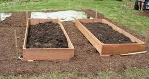 Check spelling or type a new query. Filling Your Raised Bed Maryland Grows