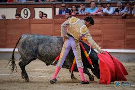 Luis Bolívar y Ana Romero pisan fuerte en Las Ventas - Contrabarrera 6