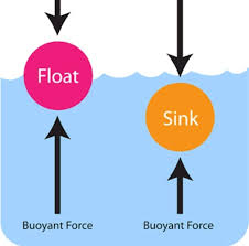 why do some pieces of shit float while