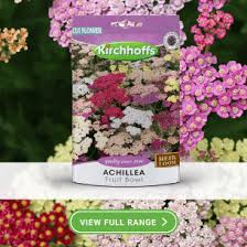 Image result for Turraea stolzii