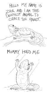 Bearded Dragon Drawing Cute Google Search Beardeddragoncage Beardeddragonpet Baby Bearded Dragon Bearded Dragon Funny Bearded Dragon