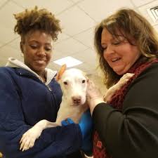2,935 likes · 142 talking about this · 6 were here. Pets For Adoption At Guilford County Animal Shelter In Greensboro Nc Petfinder