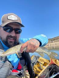 20 inch brown in a bunch of pike