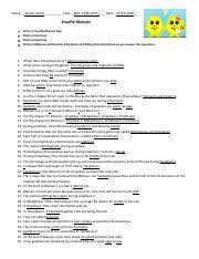 We did not find results for: Snurfle Meiosis Worksheet Snurfle Meiosis Name Date Click On Snurfle Meiosis App Click On Continue Click On Continue Click On Meiosis And Genetics Course Hero