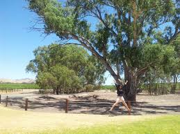 Live Life The Classy Way Travel Summer Realgetaway Adelaide Baross Iphone Accessories Digital Camera Accessories Professional Digital Camera