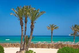 Everything you need to know! Relax In Tunisia Visit Tunisia Travel Tunisia Beach Holiday Tunisia