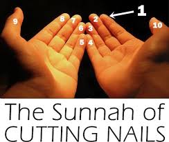 the sunnah of cutting nails sew some
