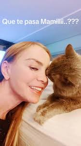 #amissss Armani sigue analizando que pasa ..??? Jajaja!!! #miau #okkk #love  #🎼 #🎼🎵🎶