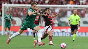 Palmeiras Vs Flamengo