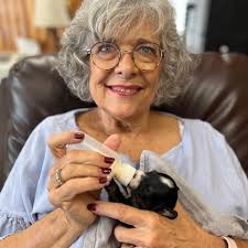 Looking for a new puppy