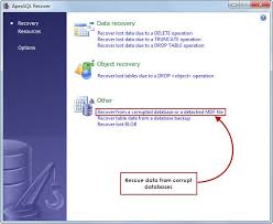 Mdf Recovery Recover Data Directly From Unattachable Or Corrupt Database Files Recovery Tools Recovery Data Recovery