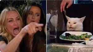 Meme Gato Y Mujer Gritando Create Memes Cats Cat Memes