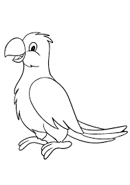 Big bird coloring page 1st birthday party pinterest. Coloring Pages Cute Parrot Printable Coloring Pages For Kids