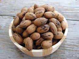 Requires a pollinator and full sunlight to partial shade. Pawnee Pecan Tree Nut Trees Ison S Nursery Vineyard