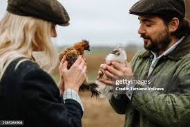 6 556 Love Birds Image Stock Photos, High-Res Pictures, and Images