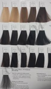 L Oreal Professionnel Inoa Ods2 Inoa Hair Color Chart Hair Color Chart Loreal Inoa Hair Color Chart