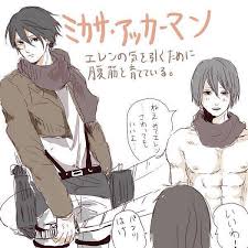 Mikasa ackerman (ミカサ・アッカーマン) is a character from shingeki no kyojin. Mankasa Ackerman Shingeki No Kyojin Home Facebook