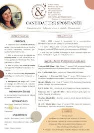 Curriculum Vitae Job Psychologie