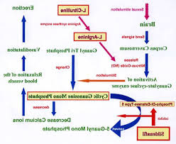 Check spelling or type a new query. What Is The Active Ingredient In Viagra And Cialis Before And After And Price Direction Fp7 Eu