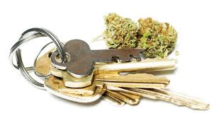 Kiffen Und Autofahren In Europa Sensi Seeds