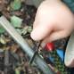Family Bushcraft Session event image
