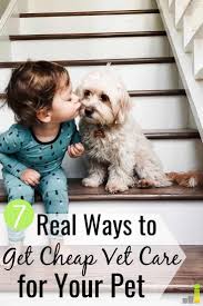 7 Ways To Find Cheap Vet Care Near Me In 2020 Vets Your Pet Pets
