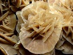Check spelling or type a new query. Mineralien Sandrosen Wustenrosen